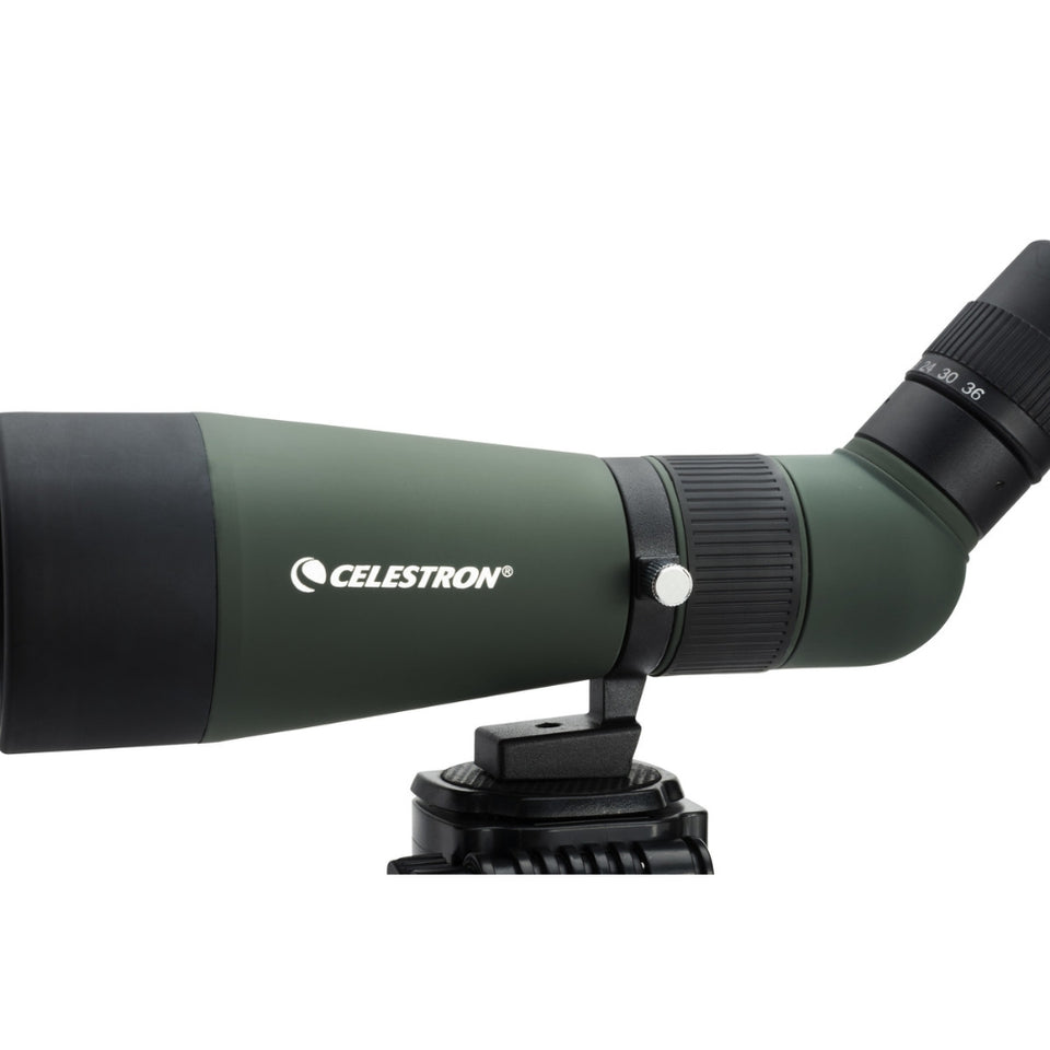 LUNETA LANDSCOUT 12-36X60MM COM TRIPÉ DE MESA CELESTRON - 52322